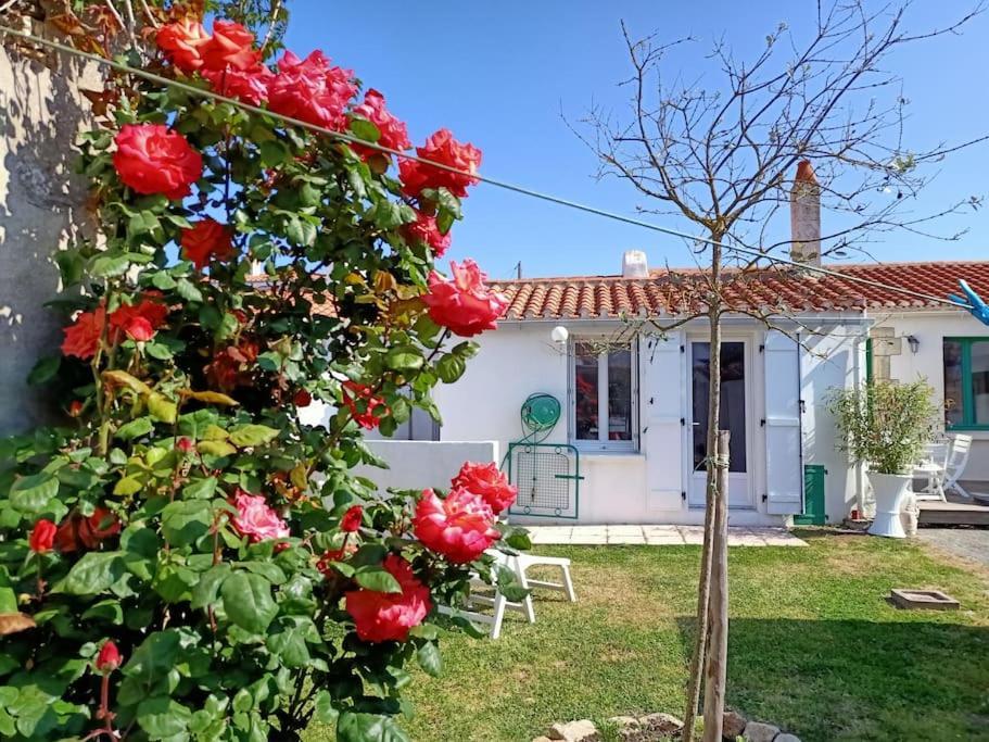 La Maison Du Marin Villa Saint-Gilles-Croix-de-Vie Exterior photo